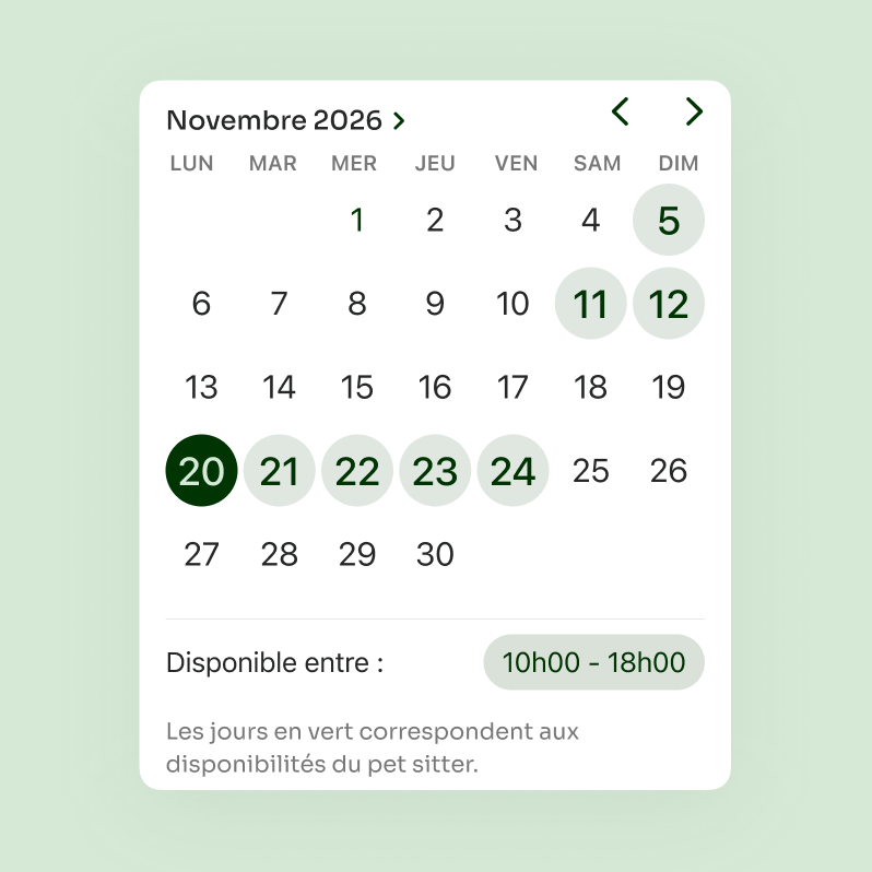 Anomi project image 21