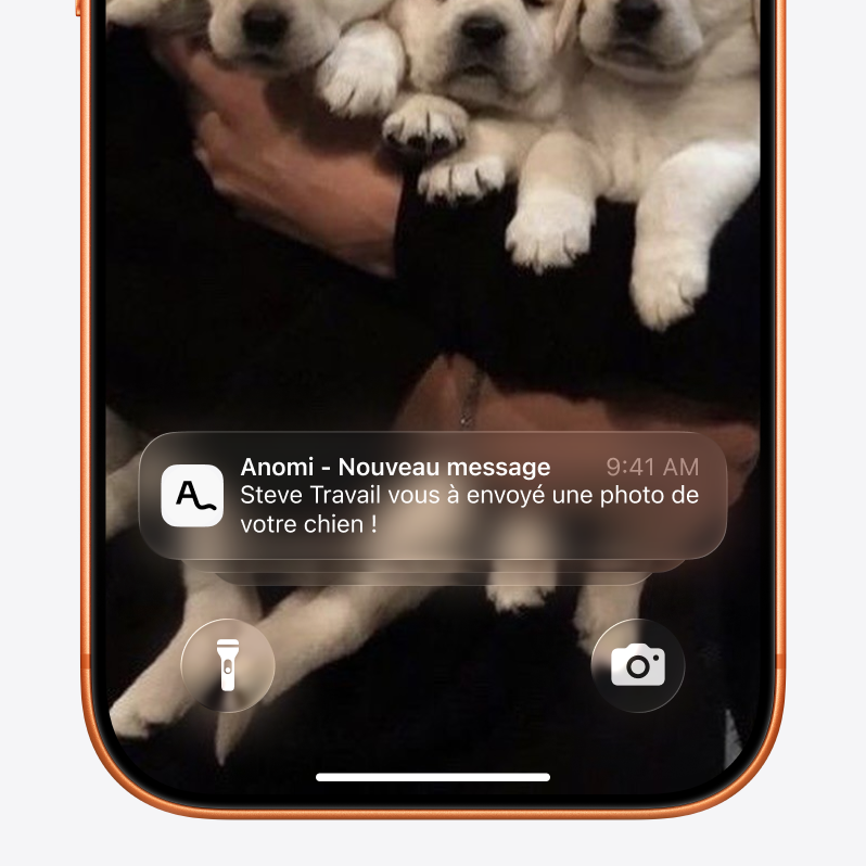 Anomi project image 5