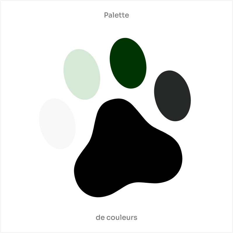 Anomi project image 10